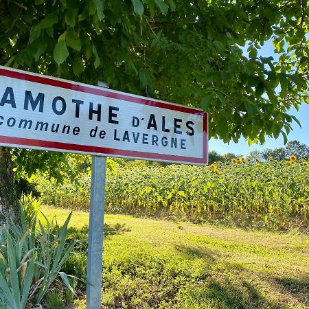 Gite Confort A Lamothe D Ales Lavergne  Εξωτερικό φωτογραφία